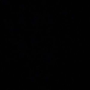 Meet your Posher, Reyna